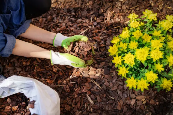 How Long Does Mulch Last in Vacaville, CA