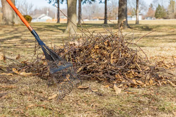 How to Clean a Backyard in Vacaville, CA