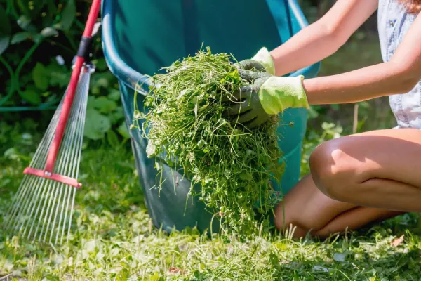 How to Clear a Yard Full of Weeds in Vacaville, CA