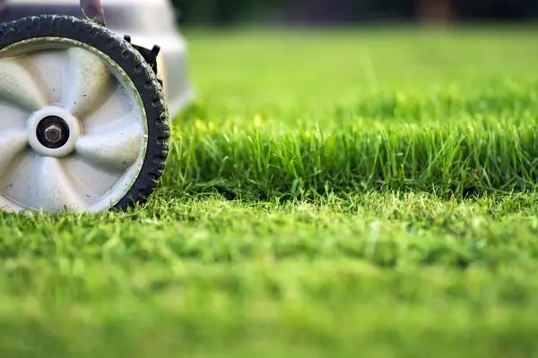 How to Mow a Lawn in Vacaville, CA