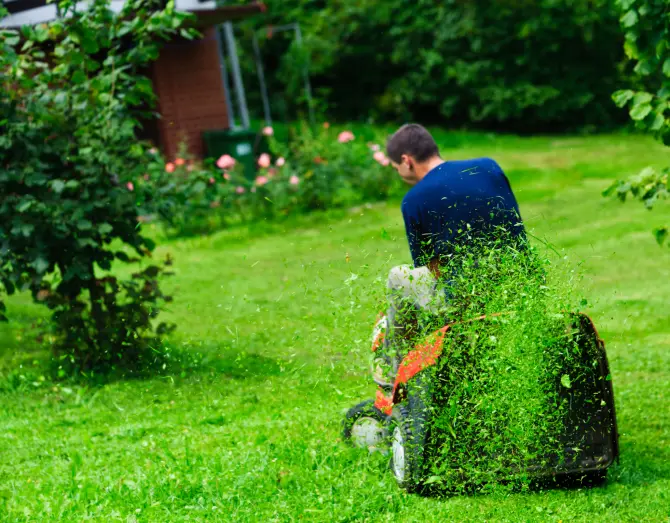 Lawn Mowing in Vacaville, CA