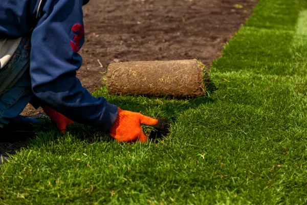 Quality Sod Installation in Vacaville, CA