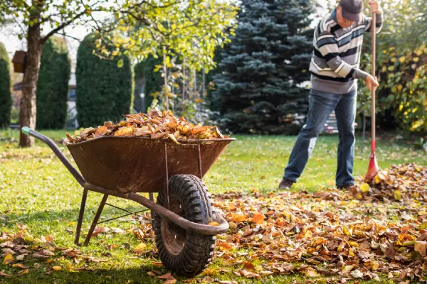 Quality Yard Cleanup in Vacaville, CA