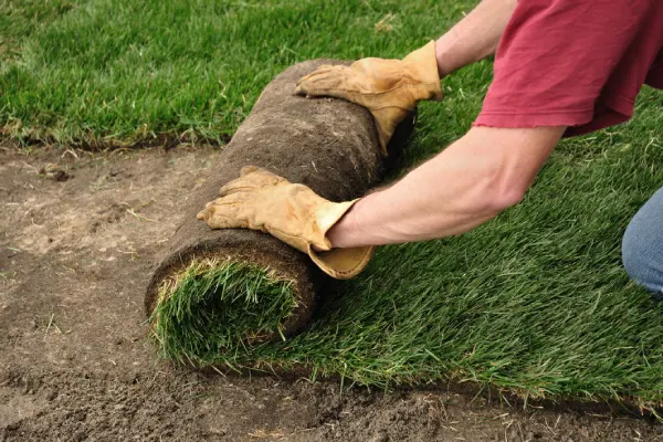 Sod Installation in Vacaville, CA