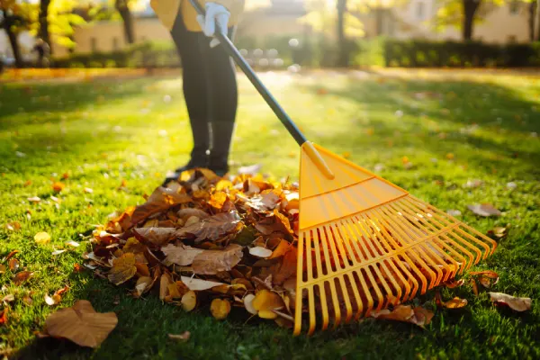 Yard Cleanup in Vacaville, CA